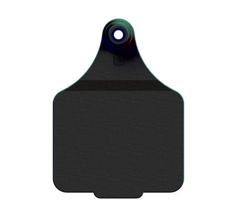 VISUAL MANAGEMENT TAGS (MAXI)