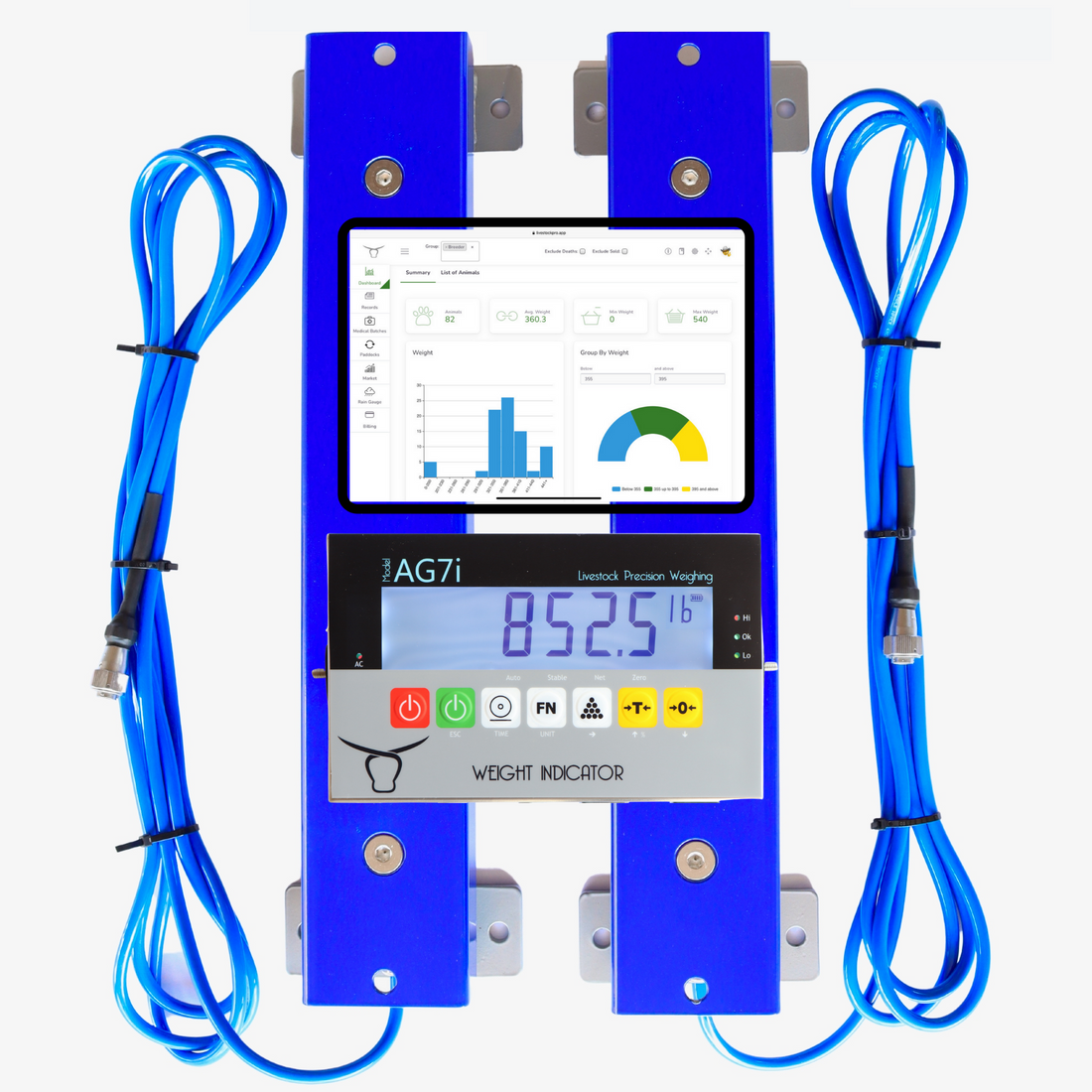 A Guide to Installing and Using Cattle Scales