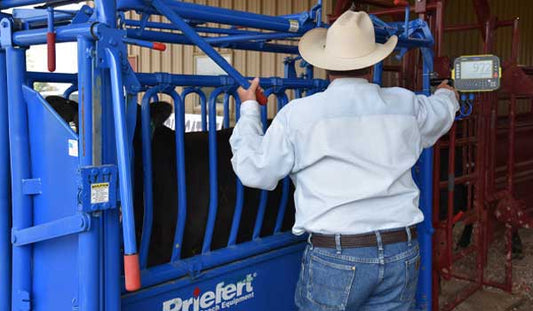 Cattle Scales: Weighing the Importance of Accurate Livestock Measurements