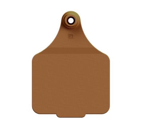 VISUAL MANAGEMENT TAGS (MAXI)