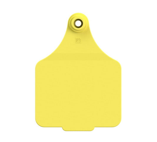 VISUAL MANAGEMENT TAGS (MAXI)