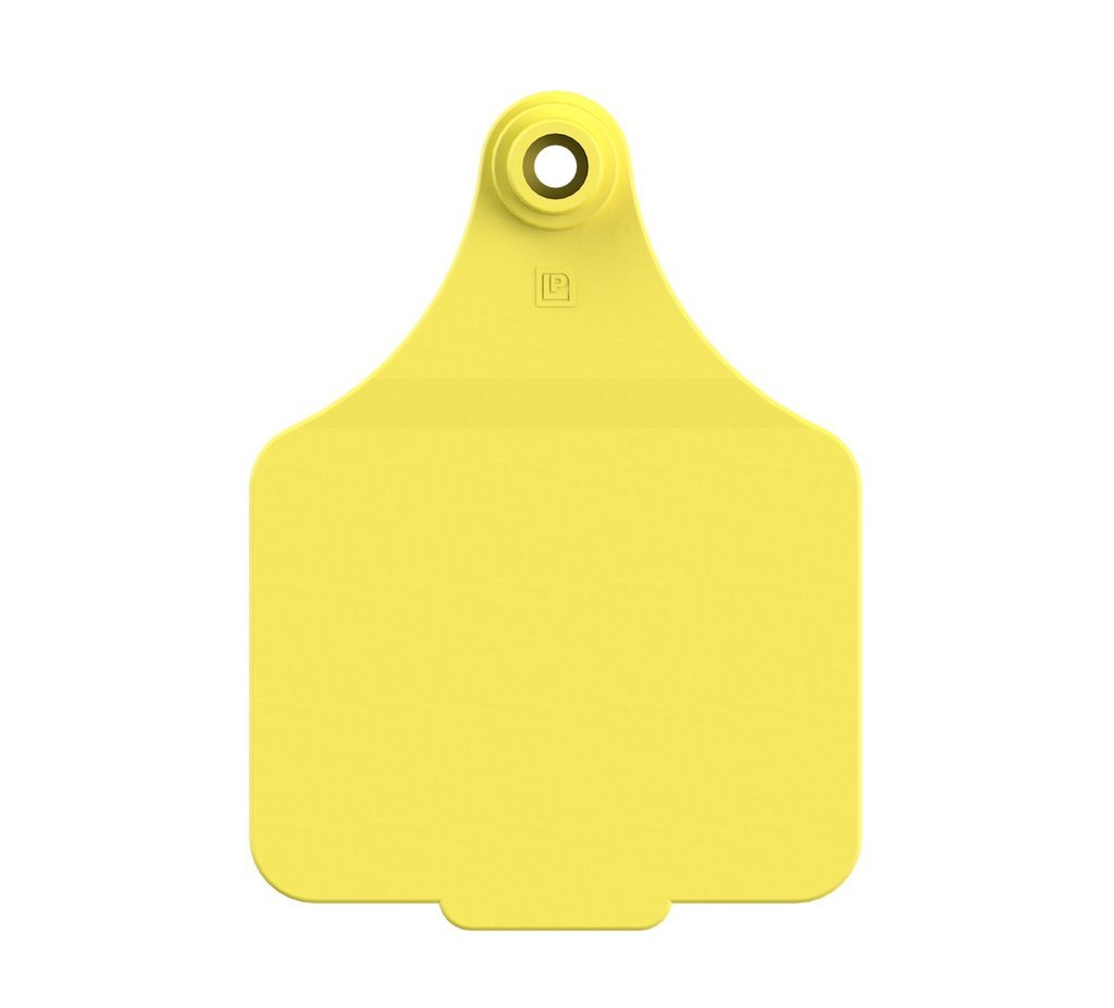 VISUAL MANAGEMENT TAGS (MAXI)