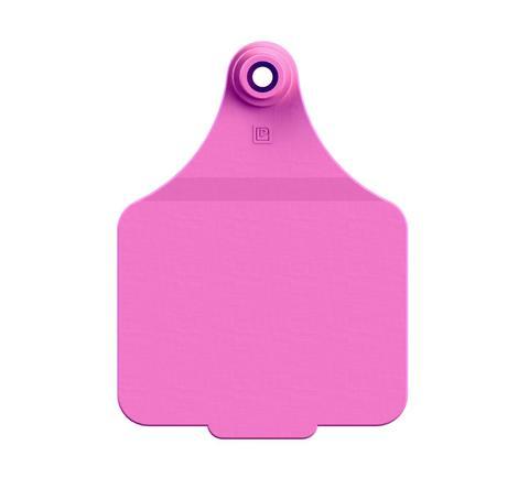 VISUAL MANAGEMENT TAGS (MAXI)