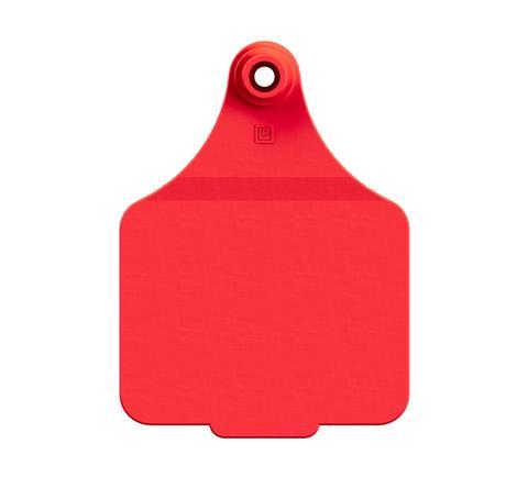 VISUAL MANAGEMENT TAGS (MAXI)