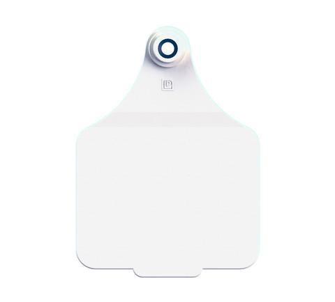 VISUAL MANAGEMENT TAGS (MAXI)